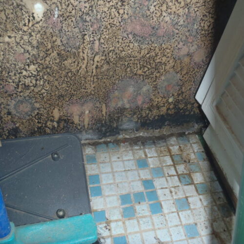 Mold damage in bathroom